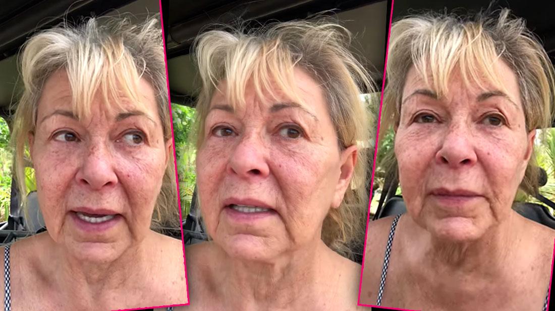 Roseanne Barr Claims She S Queer In New Youtube Video