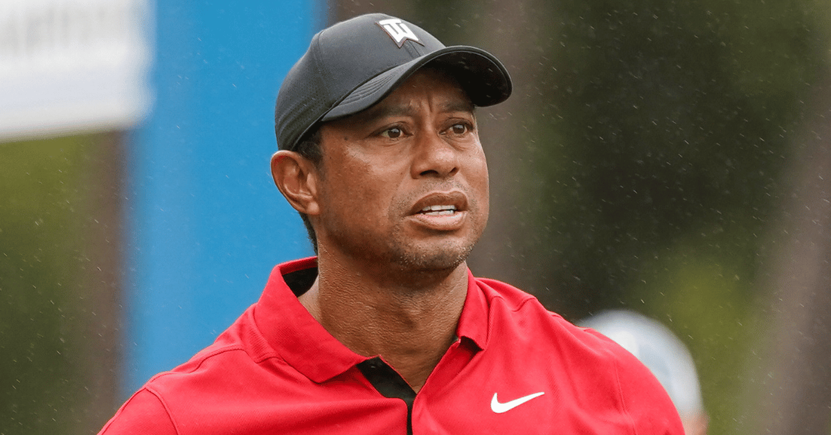 Tiger Woods And Ex Wife Elin Nordegren Reunite At Pnc Championship