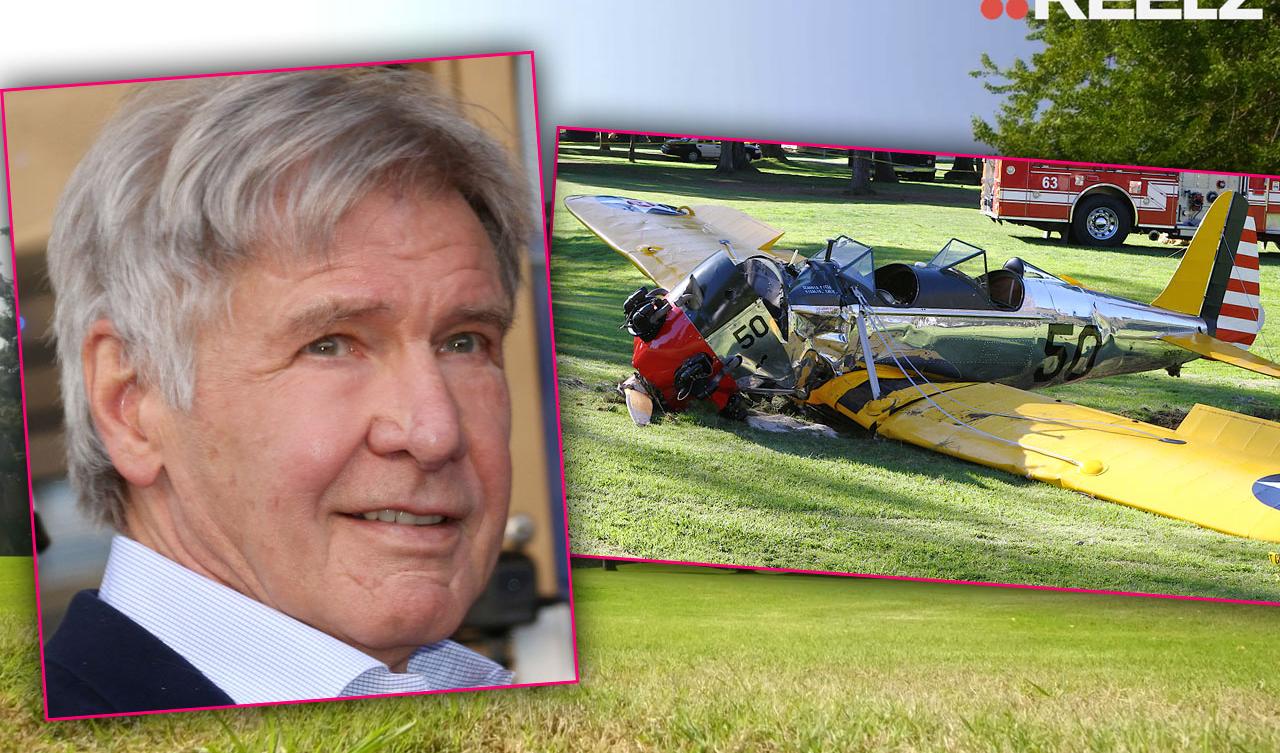 Harrison Ford Plane Crash Eyewitness Recalls Moment He Saw Jet Fall