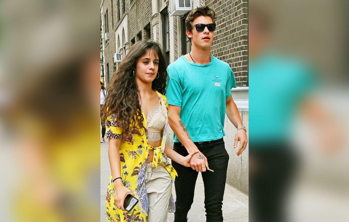 shawn mendes camila cabello spotted together breakup couple take dog stroll