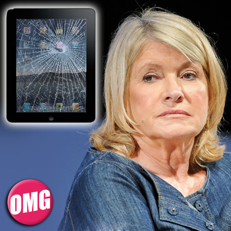 //martha stewart broken ipad square