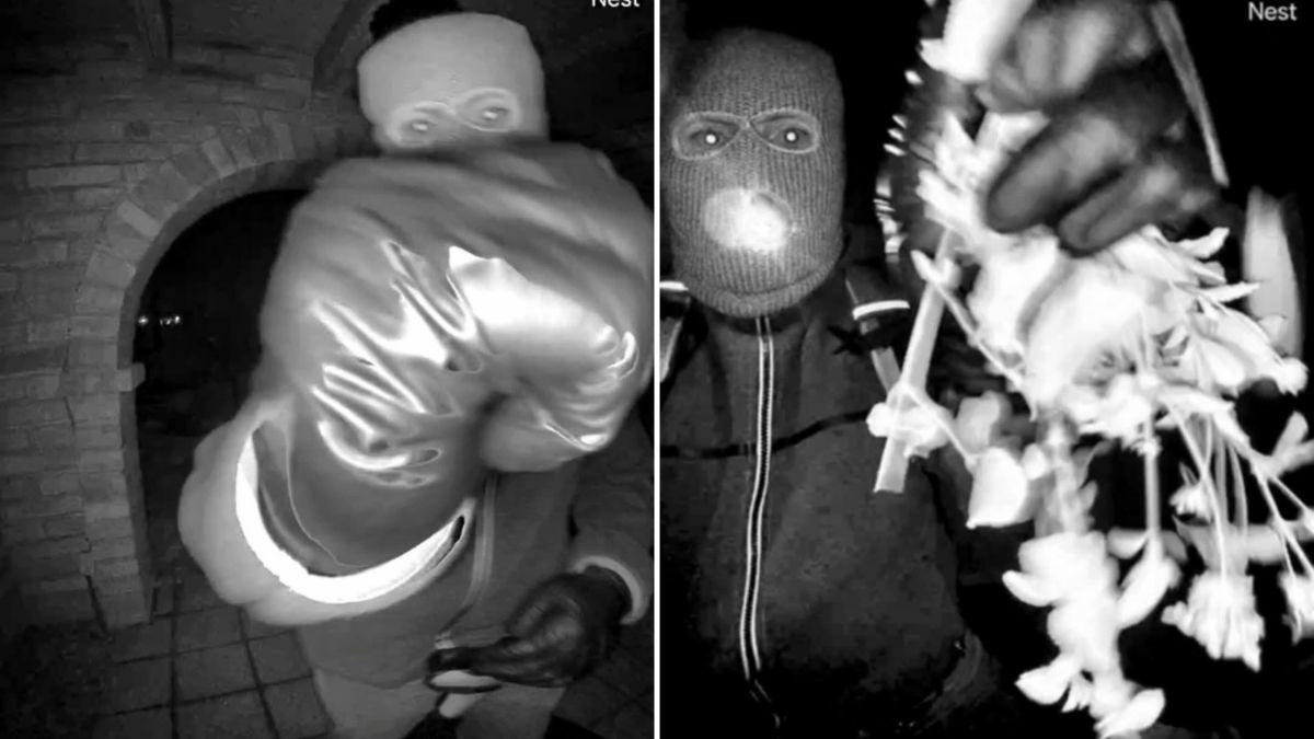 Photos of Nancy Guthrie suspect