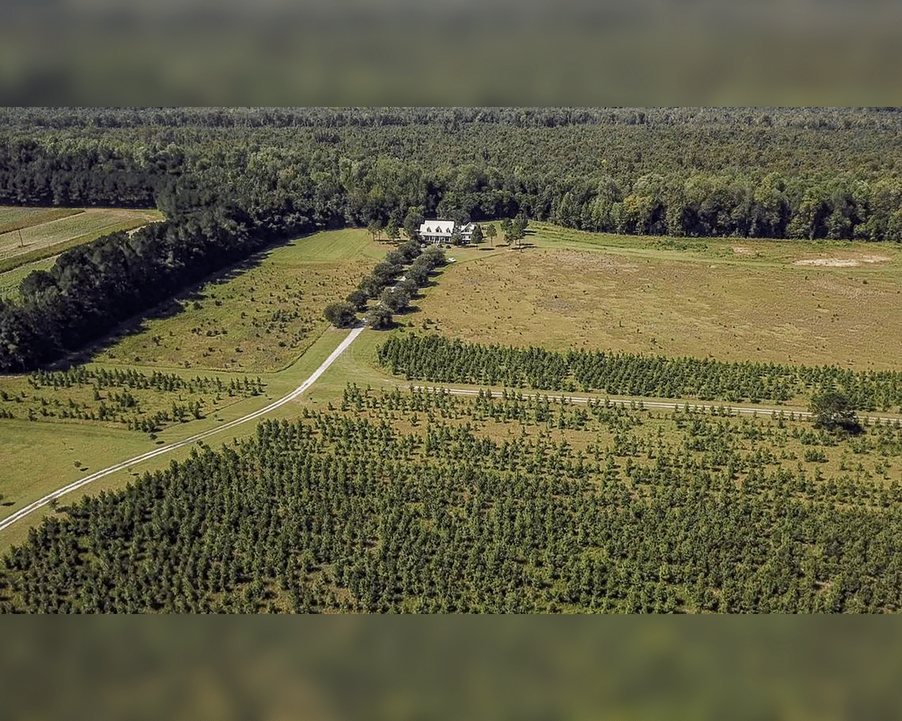 Ranch Where Alex Murdaugh Murdered His Wife & Son Sells For 2.6 Million