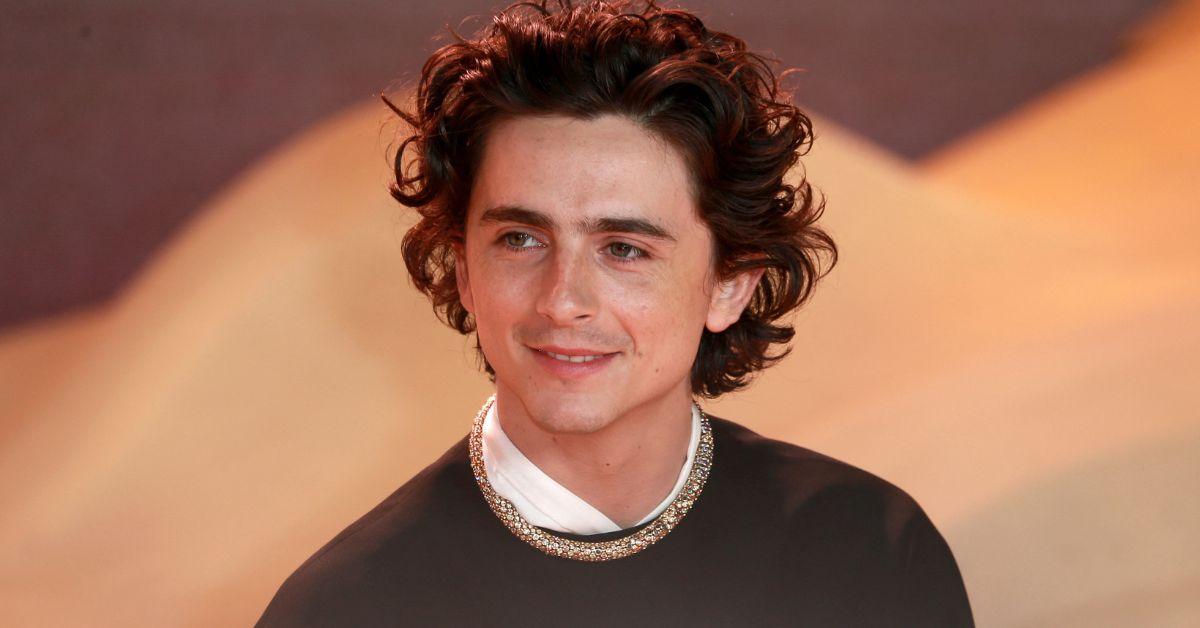 timothee chalamet endures endless reshoots