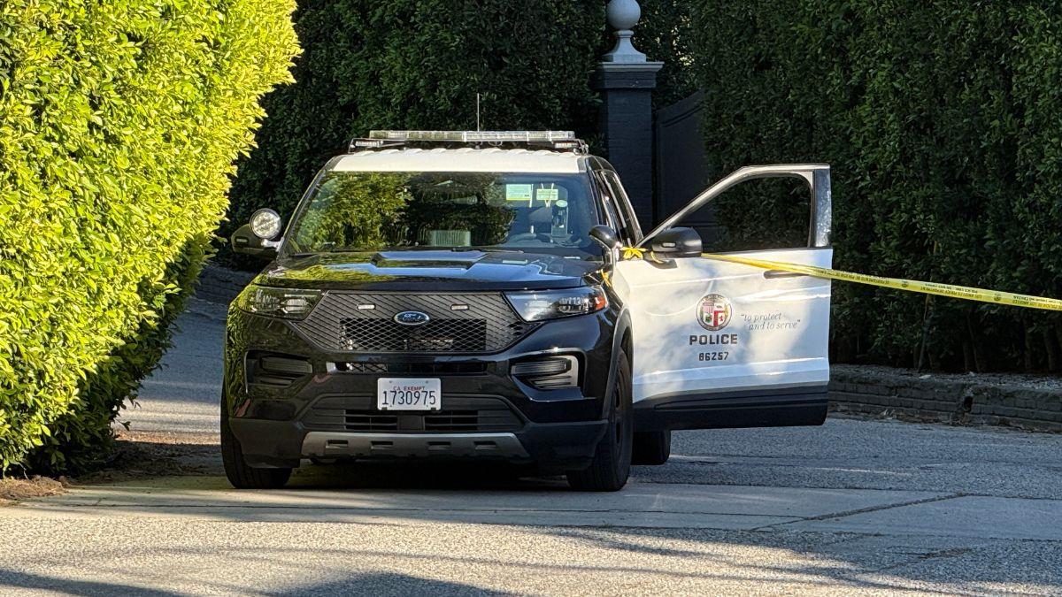 picture of police car on Rihanna's street