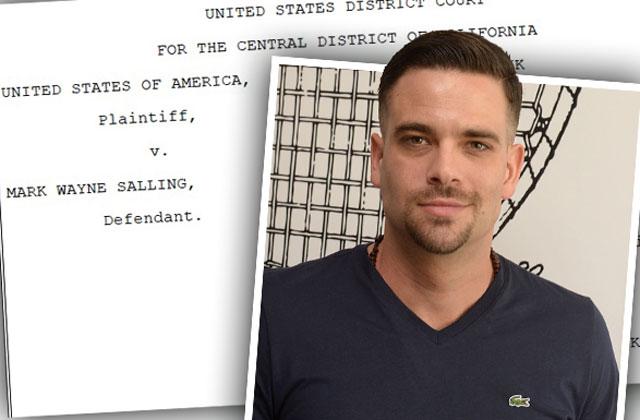 mark salling glee alleged child porn crimes