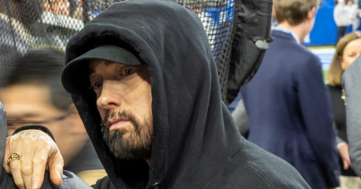 eminem paranoid tinfoil covered mansion hotels block nsa spies