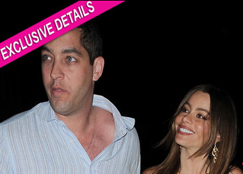 //nick loeb engaged sofia vergara