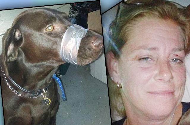 Animal Cruelty Convicted Woman Duct Tape Dog Mouth