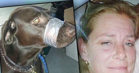 Animal Cruelty Convicted Woman Duct Tape Dog Mouth