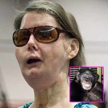 Pet Chimp Who Mauled Charla Nash Slept With Owner 'Every Single Night'