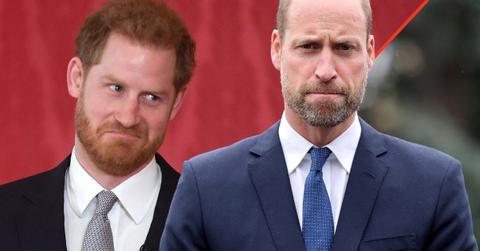 Photo of Princes William and Harry