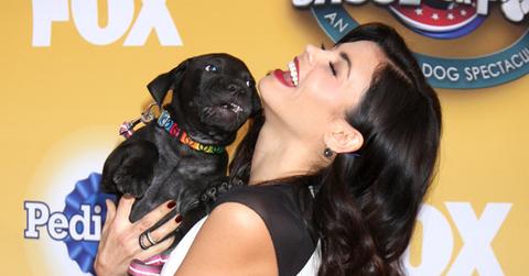 //fox cause for paws party patrol