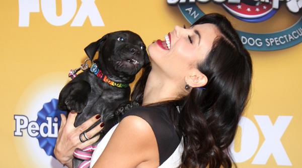 //fox cause for paws party patrol