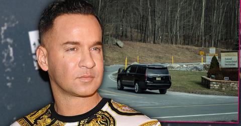 mike sorrentino the situation prison surrender photos