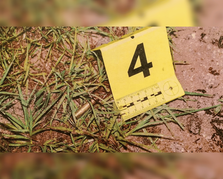 2023 WAHRES VERBRECHENJedes grausame Tatortfoto im MurdaughFamilienmordprozess enthülltNeu