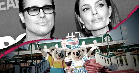 //brad pitt angelina jolie australia theme park dreamworld stiffed wildlife donation wide