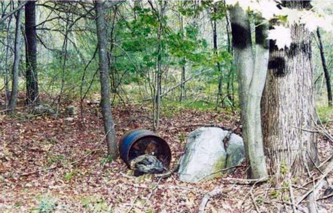 catching the chameleon  bodies found in barrels