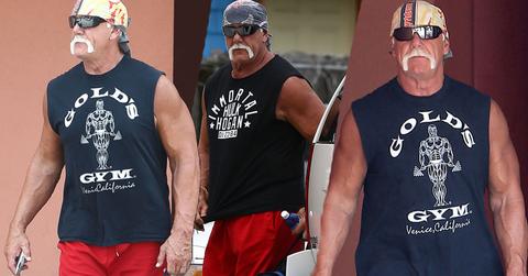 //hulk hogan spotted first time since racism scandal pp