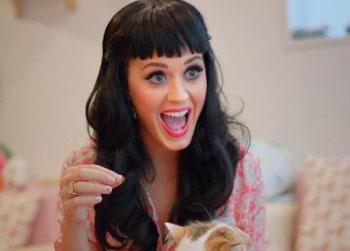 //katy perry part of me