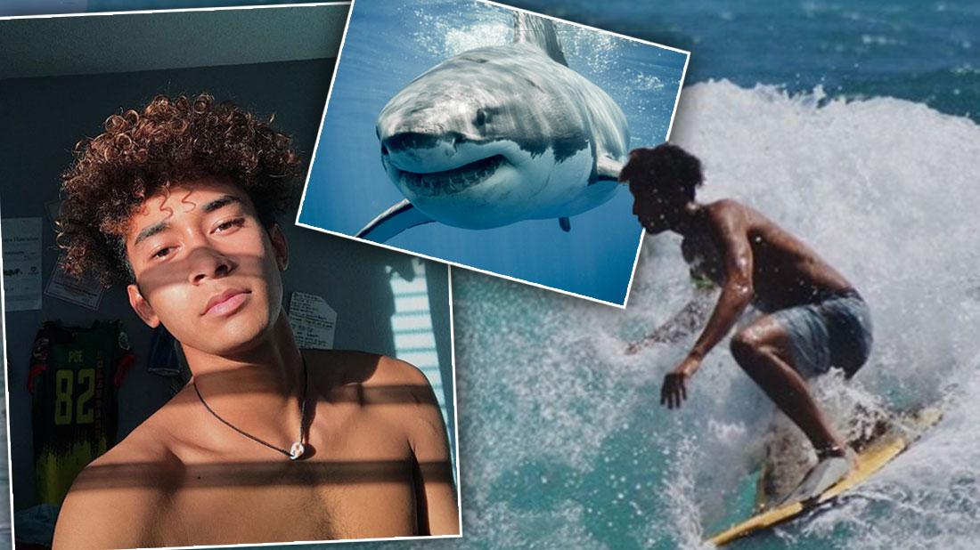 Shark Attacks Hawaiian Teen's Surf Board, Misses His Foot