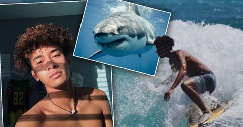 Shark Attacks Hawaiian Teen’s Surf Board, Misses His Foot