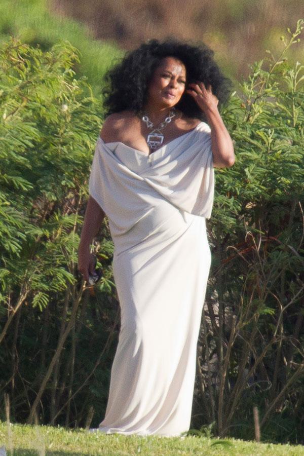 //diana ross at daughters wedding with kids