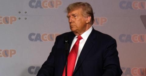 trump meltdown gag order election case plans to appeal pp