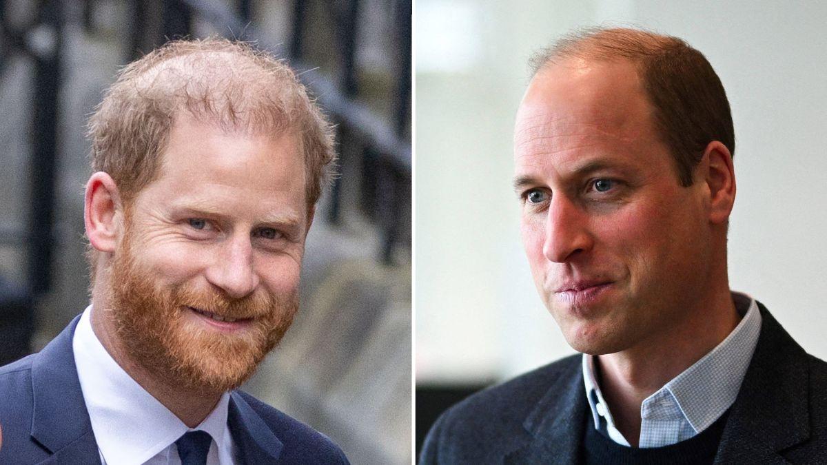 picture of prince harry and prince william
