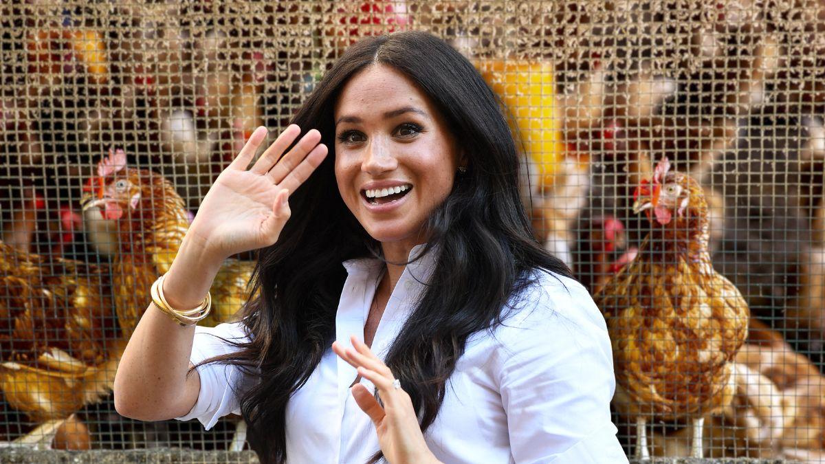 Photo of Meghan Markle
