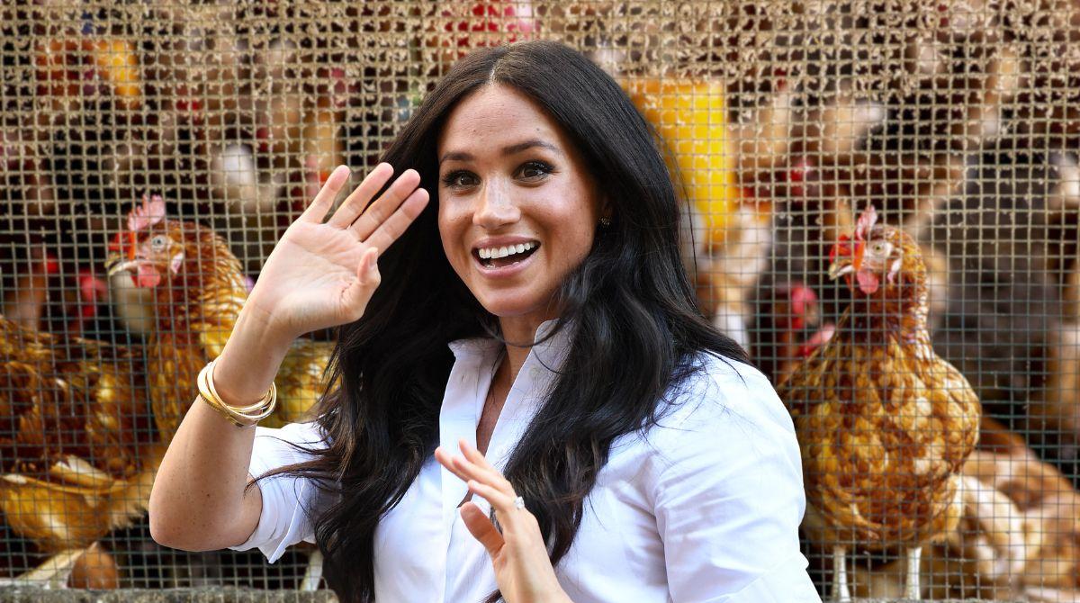 Why Meghan Markle’s Chickens Won’t Move To Britain With The Sussexes
