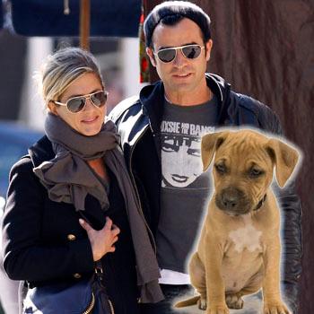 //jennifer aniston justin theroux adopt puppy