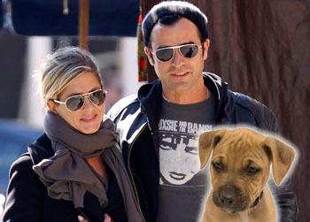 //jennifer aniston justin theroux adopt puppy