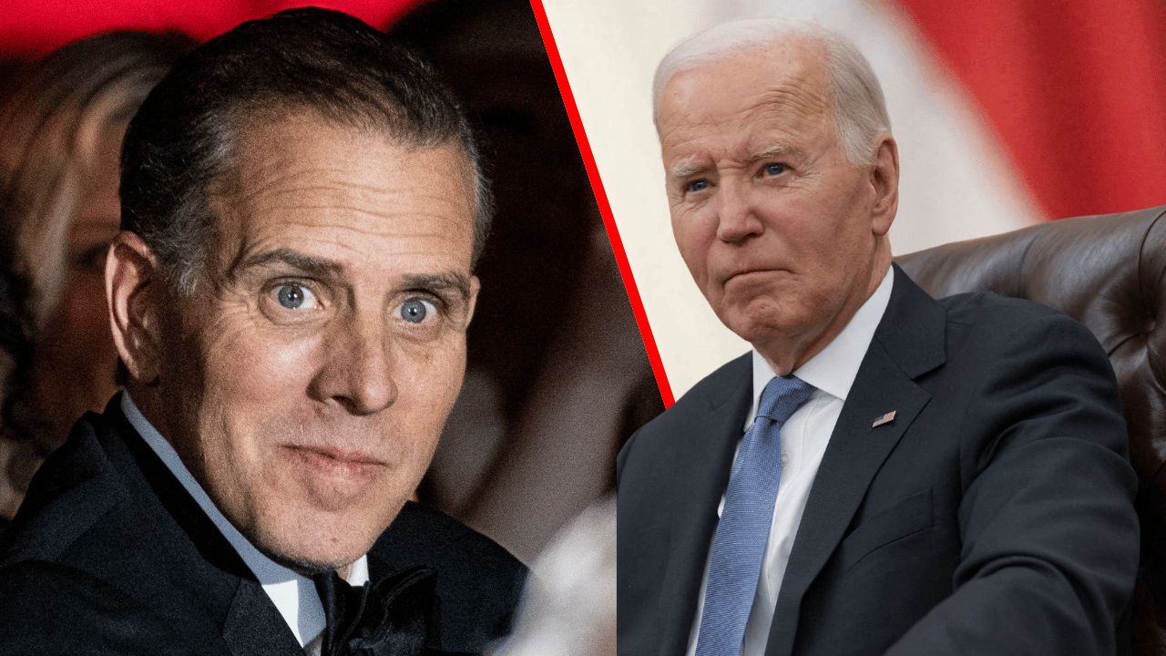 Hunter Biden revealed his father would drop in on him at the height of his addiction battle – despite being Vice President of the United States at the time.