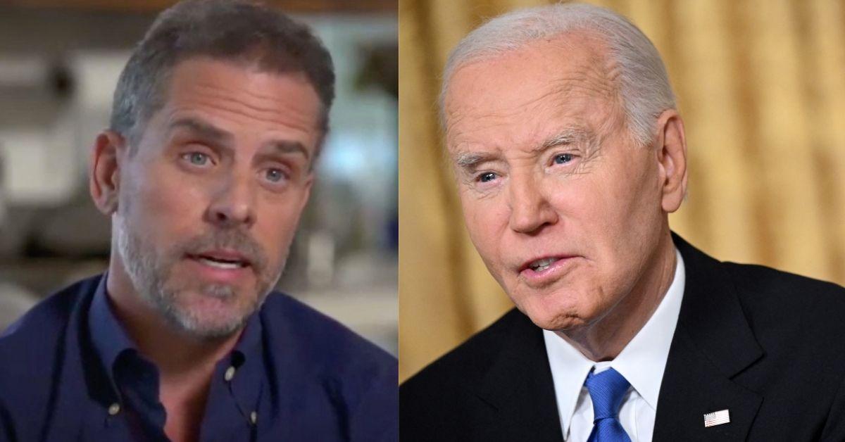 Hunter Biden has criticized dad Joe Biden's failures as the disgraced son faces backlash and scrutiny.