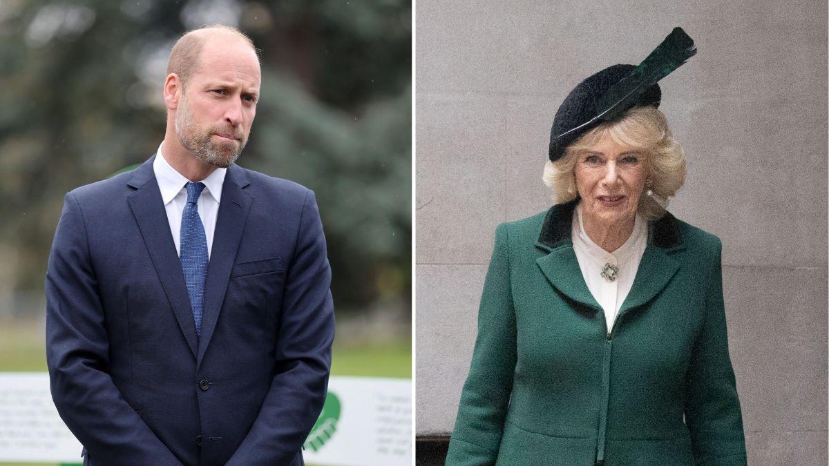 Photo of Queen Camilla and Prince William