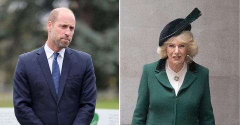 Photo of Queen Camilla and Prince William