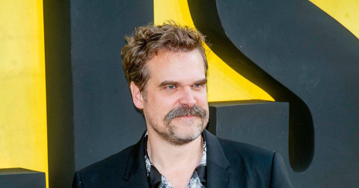 Photo of David Harbour