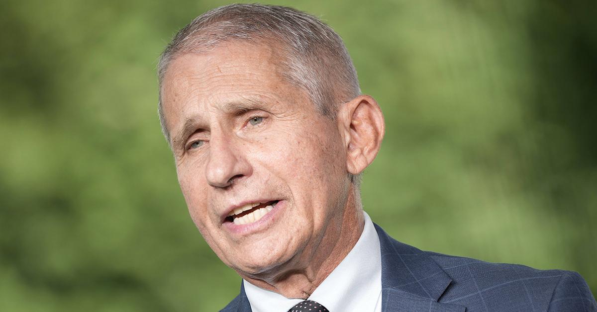 Fauci discount hamilton rap