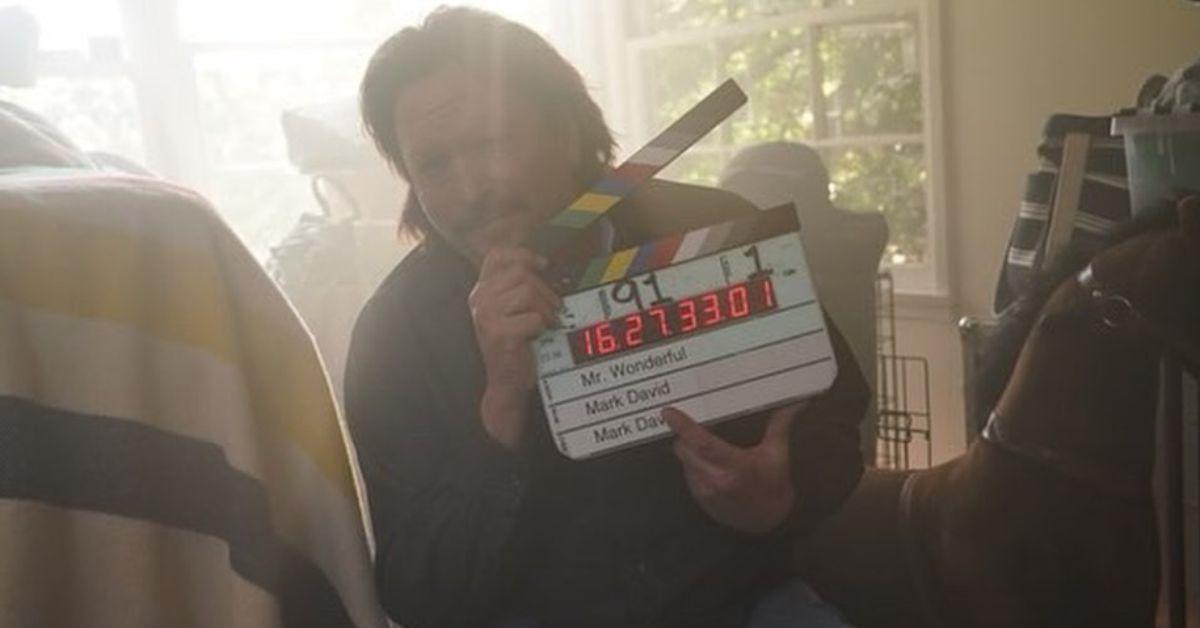 michael madsen mr wonderful