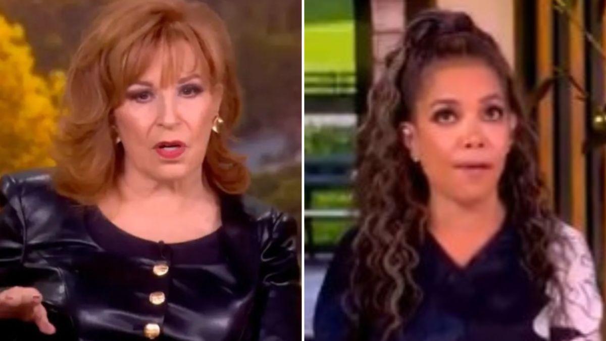 Joy Behar and Sunny Hostin spoke out on the rise of AI on 'The View.'
