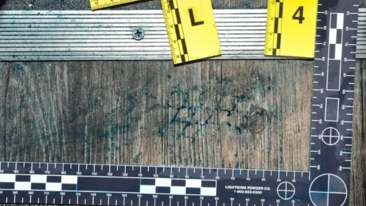 Bryan Kohberger vans shoe print outside Dylan Mortensen door.