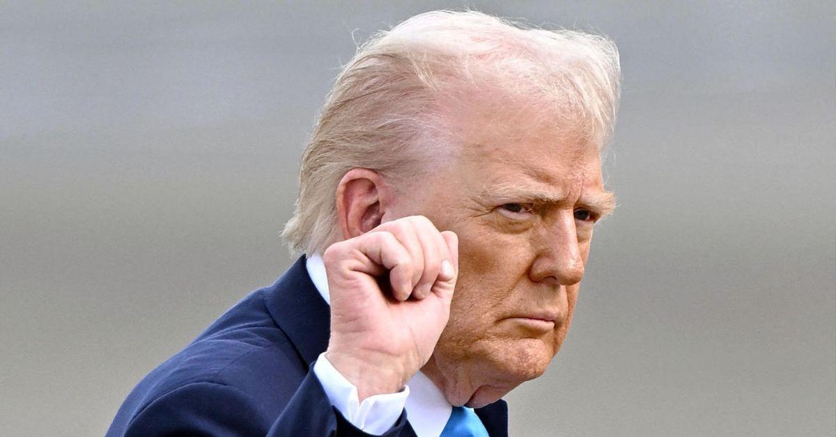 picture of Donald Trump