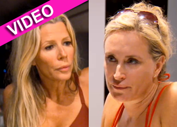 //sonja aviva fight rhonyc_