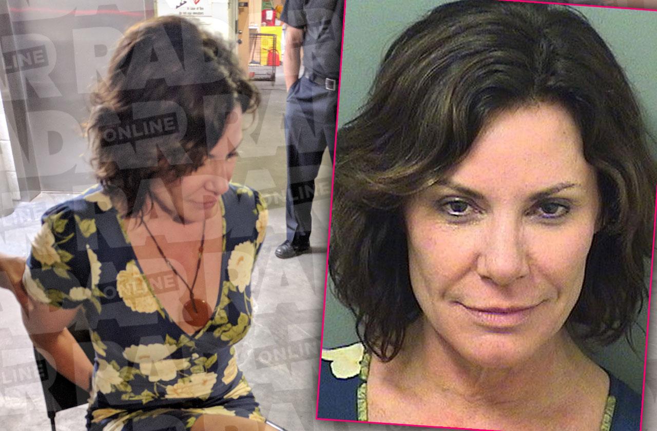 LuAnn De Lesseps Arrest DUI Bloody Cop