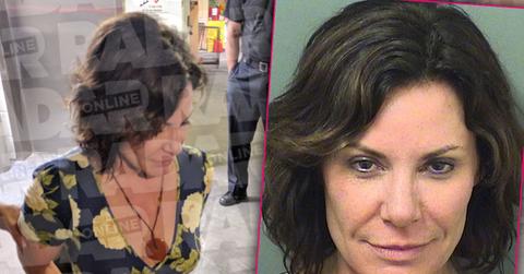 LuAnn De Lesseps Arrest DUI Bloody Cop