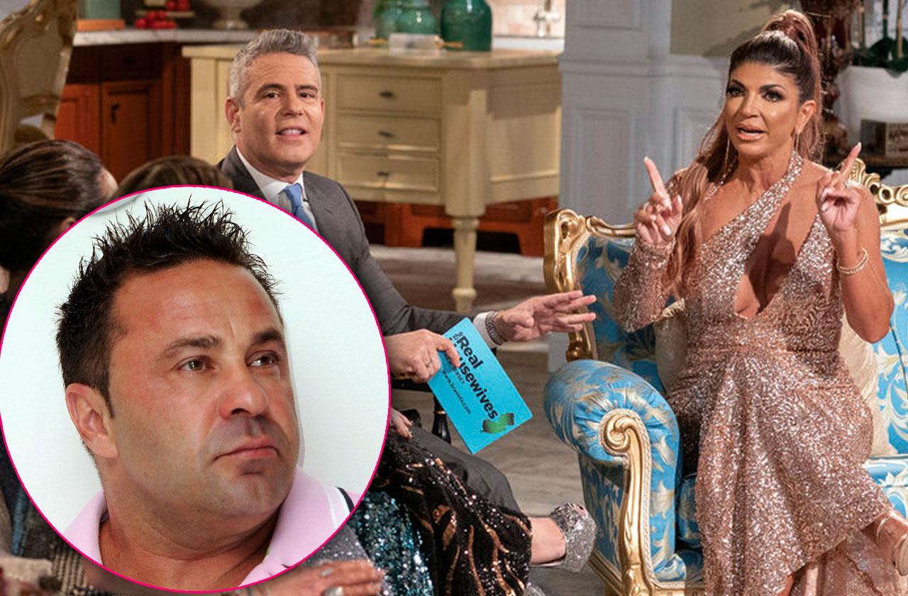 teresa giudice affair cheating