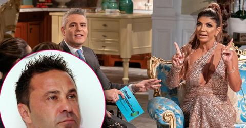 teresa giudice affair cheating