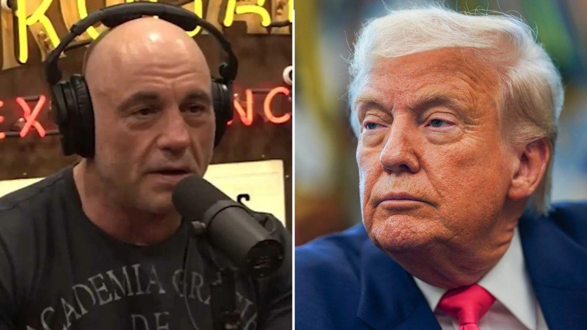 joe rogan and donald trump