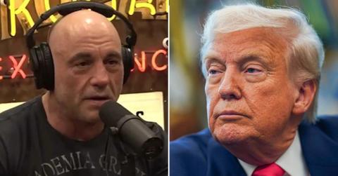 joe rogan and donald trump